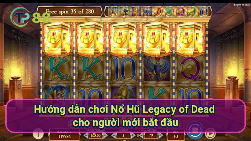 Nổ Hũ Legacy of Dead: Siêu phẩm game slot hấp dẫn 4 huong-dan-choi-no-hu-legacy-of-dead-cho-nguoi-moi-bat-dau