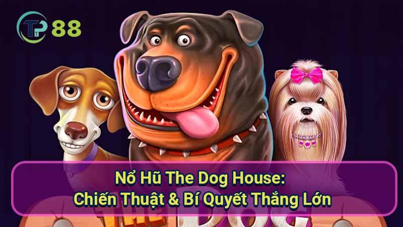 No-Hu-The-Dog-House